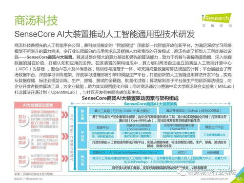 2021年中國人工智能基礎層行業報告 人工智能基礎軟件開發